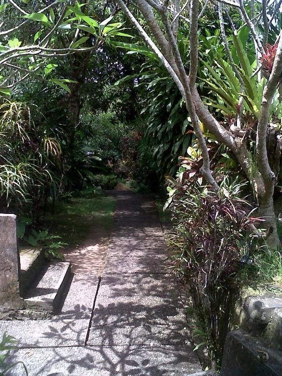 Arjana Bungalows 2 Ubud Exteriör bild