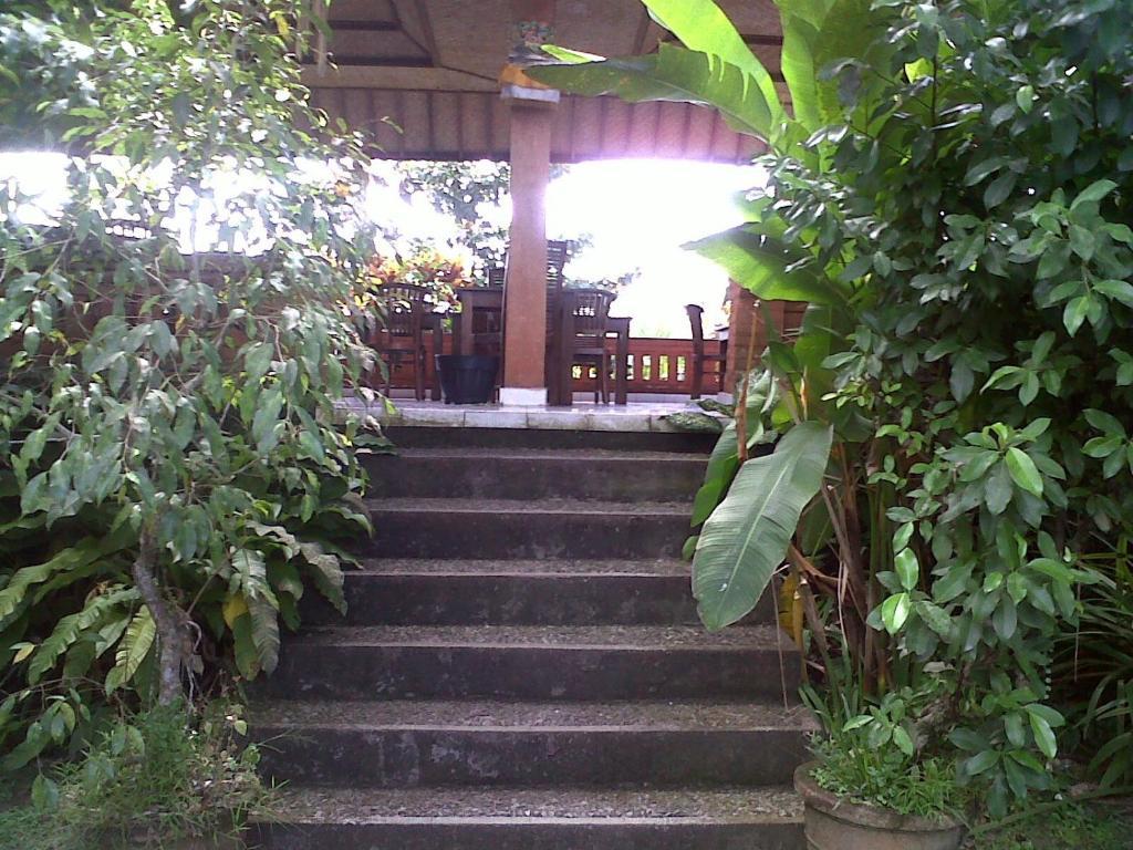Arjana Bungalows 2 Ubud Exteriör bild